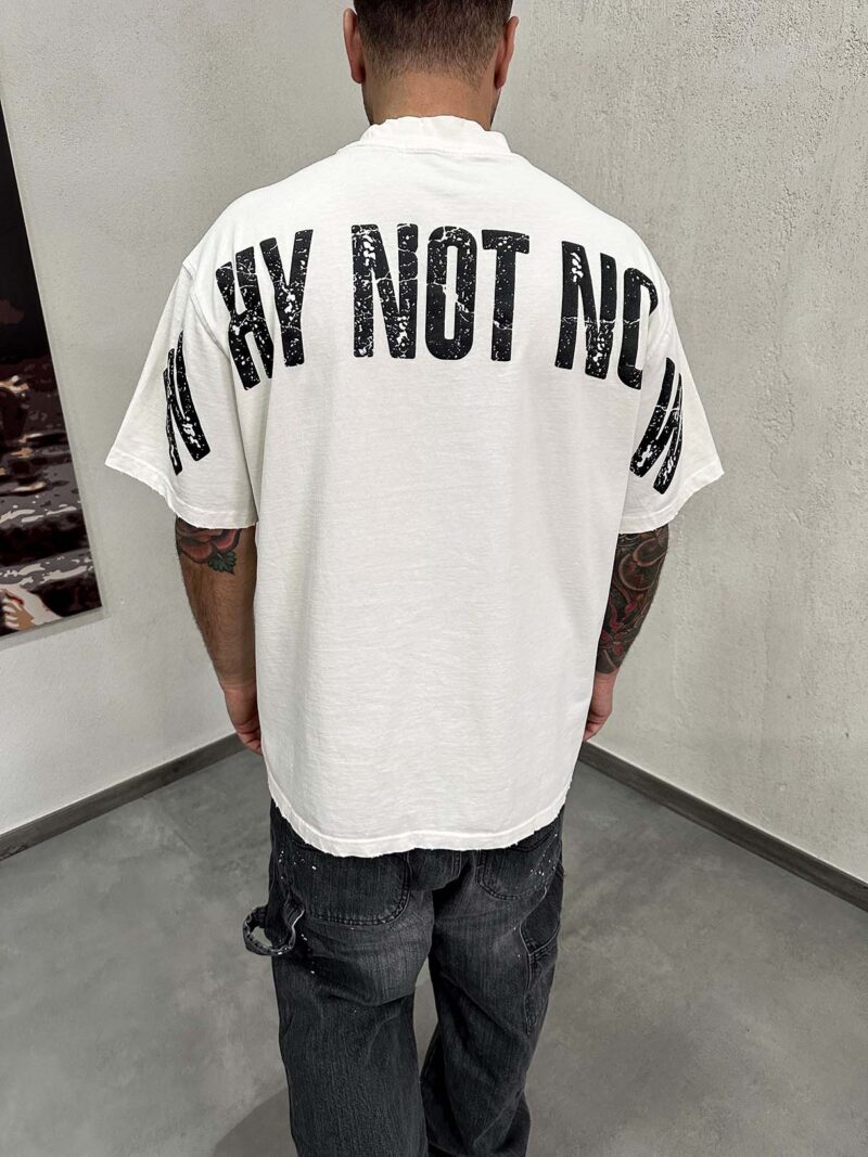 Why Not Now Washed Destroyed - immagine 2